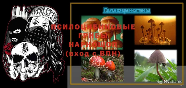 гидропоника Абаза