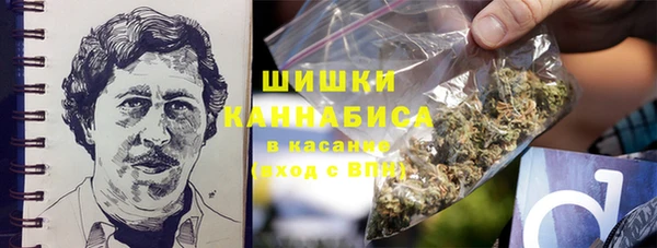 дурь Алзамай