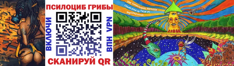 Псилоцибиновые грибы GOLDEN TEACHER  где найти   Инза 
